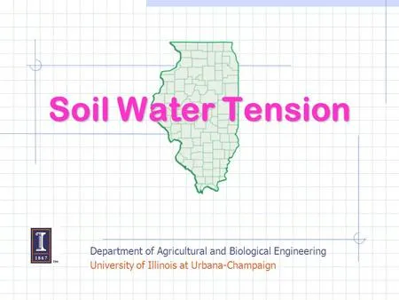 Capillary Fringe Image